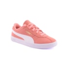 085E-398887-07-Rosa1_1-1