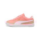 085E-398887-07-Rosa3_1-3