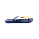 007-IP-20-038-Azul2_1-2
