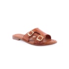 082-1608-Camel1_1-1