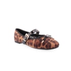 252Y-525-Leopardo1_1-1