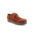 259-198-C-Camel1_1-1
