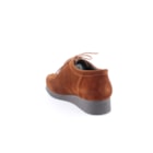 259-198-C-Camel4_1-4