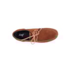 259-198-C-Camel6_1-6