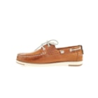 046-SL4223-Camel3_1-3