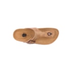 294-PR1051-Camel2_1-2
