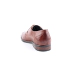 257-4017-Camel4_1-4