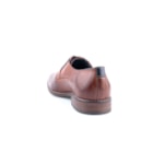 257-4054-Camel4_1-4