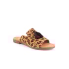 082-364-C-Leopardo1_1-1