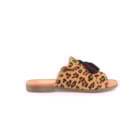082-364-C-Leopardo2_1-2