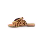 082-364-C-Leopardo3_1-3