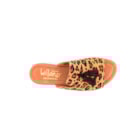 082-364-C-Leopardo6_1-6