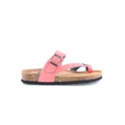 294-PR1048-Coral2_1-2