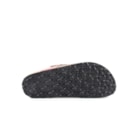 294-PR1048-Coral5_1-5