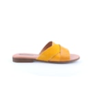 284-051-G3-Amarelo2_1-2