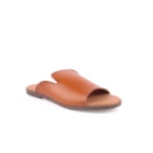 071-JB08-Camel1_1-1