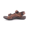 071-MANOLO-Castanho3_1-3