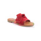 160-5203-C-Vermelho1_1-1