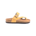 294-PR1099-Amarelo2_1-2
