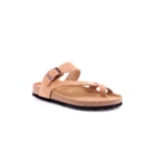 294-PR1099-Camel1_1-1