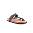 294-PR1099-Castanho1_1-1