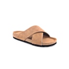 294-PR2004-Camel1_1-1