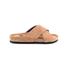 294-PR2004-Camel2_1-2