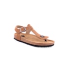 294-PR2007-Camel1_1-1