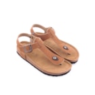 294-PR2007-Camel2_1-2