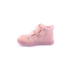 087A-2001-Rosa3_1-3