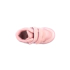 087A-2001-Rosa6_1-6
