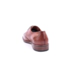 257-4095-Camel4_1-4