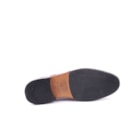 257-4095-Camel5_1-5