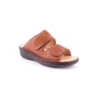 082-P1001-Camel1_1-1