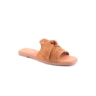 160-181-C-Camel1_1-1
