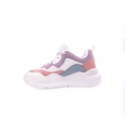 071-DS43-Lilas3_1-3