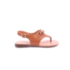 081-G211-Camel2_1-2