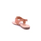 081-G211-Camel4_1-4
