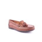 082-541-PE-Queimado1_1-1
