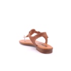 228-2650-1-Camel4_1-4