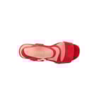 277B-494F081-Vermelho6_1-6