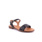 228-2649-1-Preto1_1-1