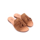 082-737-CE-Camel2_1-2