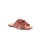 082-764-Camel1_1-1