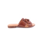 082-764-Camel2_1-2