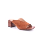 277B-537E596-Camel1_1-1