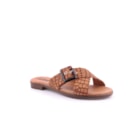 228-2657-1CR-C-Camel1_1-1
