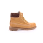 006-6500-N-Camel2_1-2