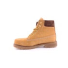 006-6500-N-Camel3_1-3