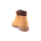 006-6500-N-Camel4_1-4